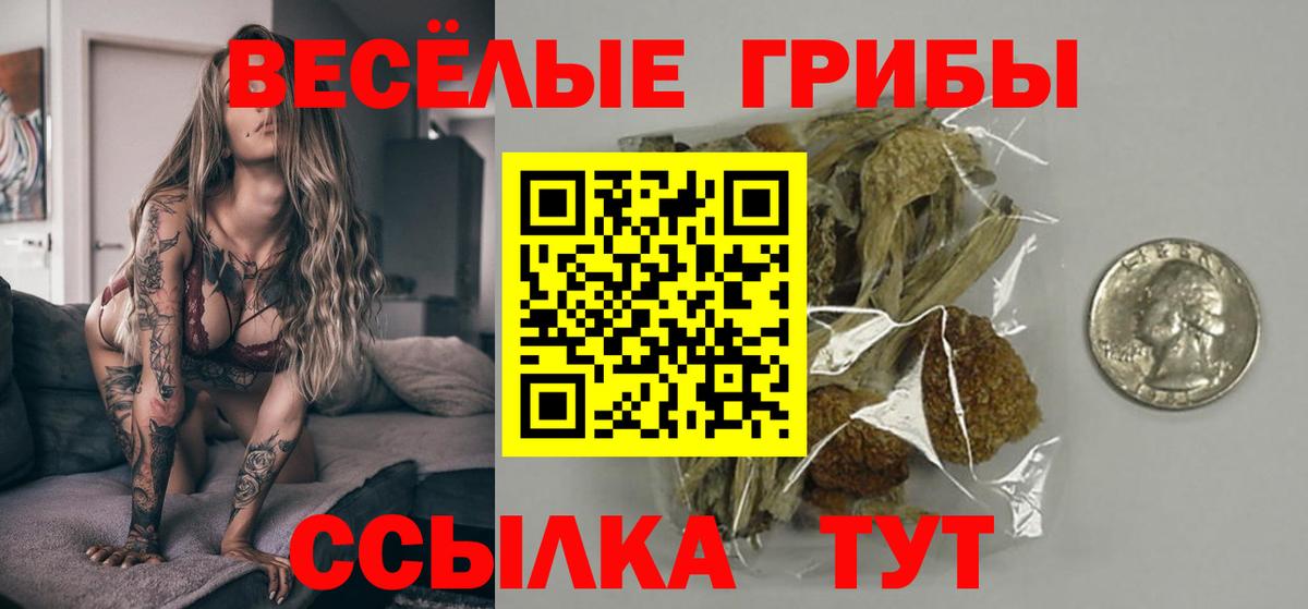 наркошоп  Галлюциногенные грибы Psilocybe  Вход с VPN  Светлоград 